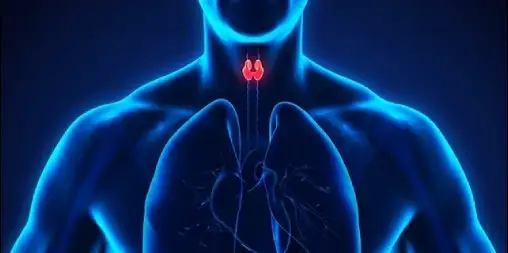 Parathyroid Sestamibi SPECT-CT